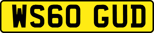 WS60GUD