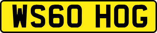 WS60HOG