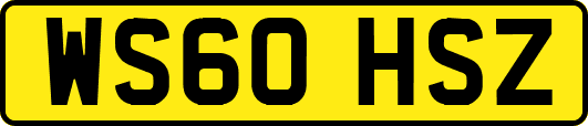 WS60HSZ
