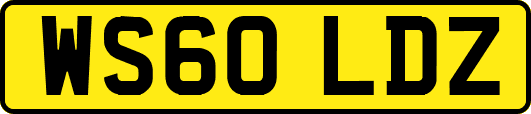 WS60LDZ