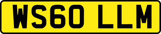 WS60LLM