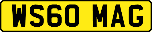 WS60MAG