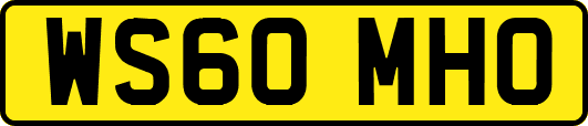 WS60MHO