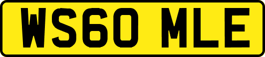 WS60MLE