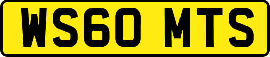 WS60MTS