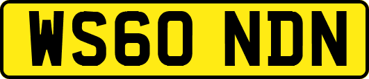 WS60NDN