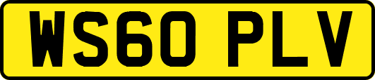 WS60PLV