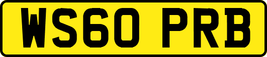 WS60PRB