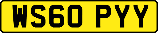 WS60PYY