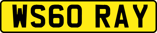 WS60RAY