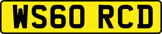 WS60RCD