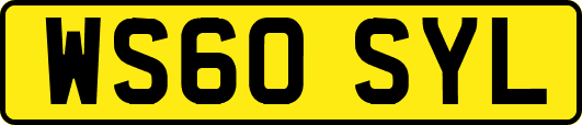 WS60SYL