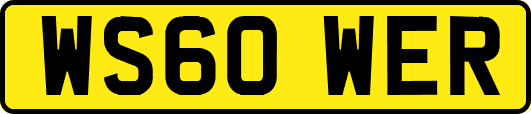 WS60WER