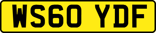 WS60YDF