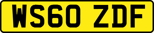 WS60ZDF