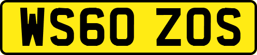WS60ZOS