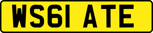 WS61ATE