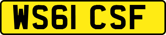 WS61CSF