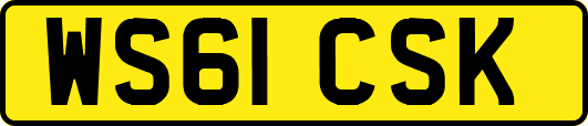 WS61CSK