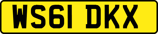 WS61DKX