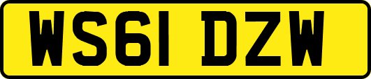 WS61DZW