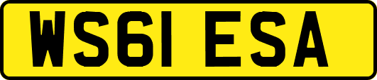 WS61ESA