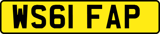 WS61FAP