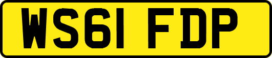WS61FDP