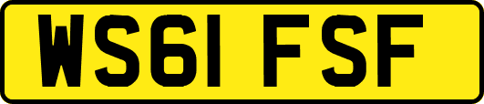 WS61FSF