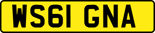 WS61GNA