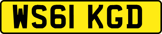 WS61KGD