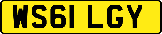 WS61LGY