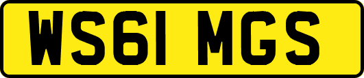 WS61MGS