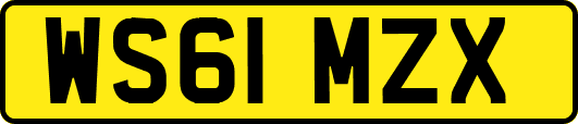 WS61MZX