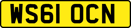 WS61OCN