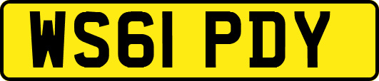 WS61PDY