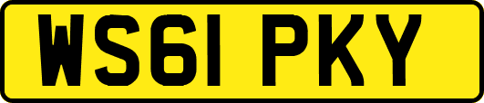 WS61PKY