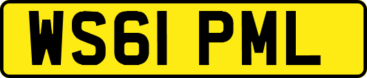 WS61PML