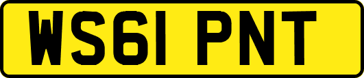 WS61PNT