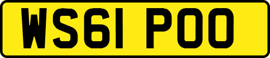 WS61POO