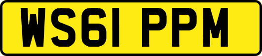 WS61PPM