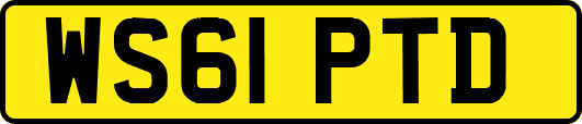 WS61PTD