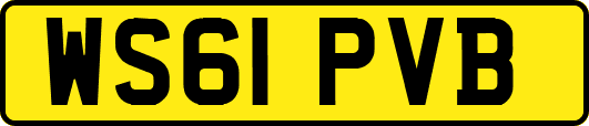 WS61PVB