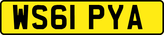 WS61PYA
