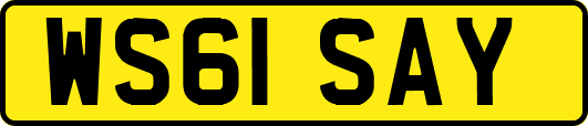 WS61SAY