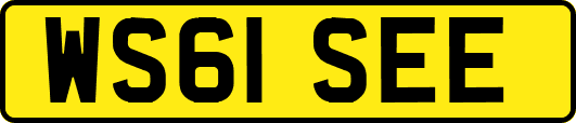 WS61SEE