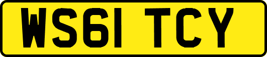 WS61TCY