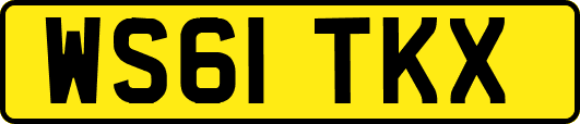 WS61TKX