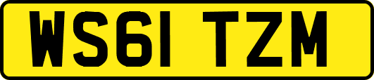 WS61TZM