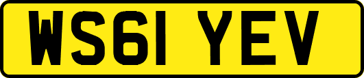 WS61YEV